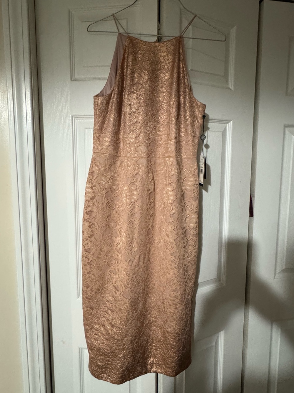 Adrianna Papell Women's Lace Dress in Dusty Rose